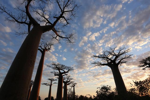 佳能最顶级的单反相机(摄影发烧友首选)(11)