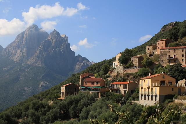 佳能最顶级的单反相机(摄影发烧友首选)(27)