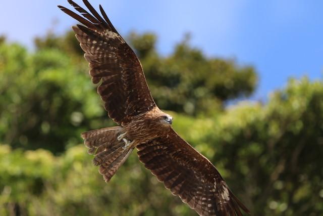 佳能最顶级的单反相机(摄影发烧友首选)(7)