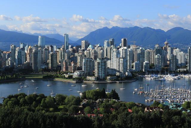 佳能最顶级的单反相机(摄影发烧友首选)(5)