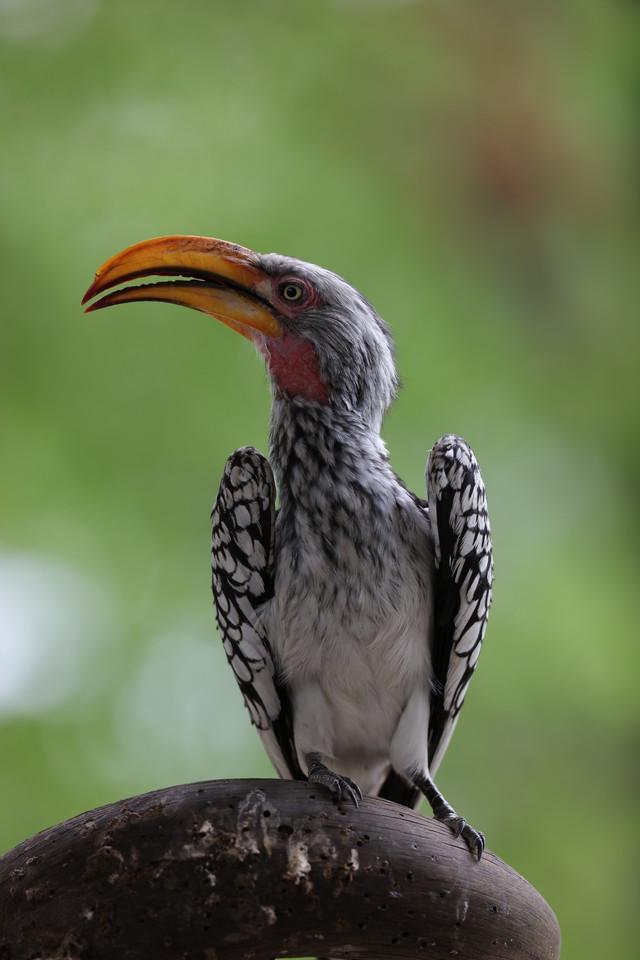 佳能最顶级的单反相机(摄影发烧友首选)(21)