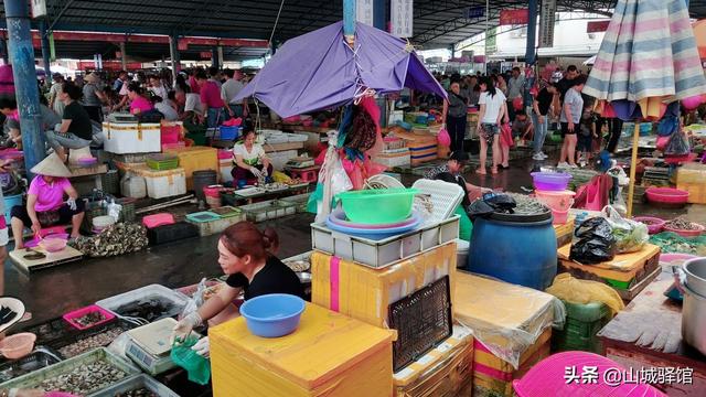 广西北海涠洲岛旅游攻略自由行:广西北海涠洲岛旅行攻略(16)