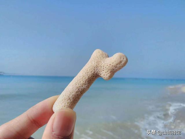 广西北海涠洲岛旅游攻略自由行:广西北海涠洲岛旅行攻略(18)