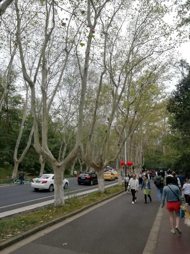 南京旅游必去十大景点推荐(南京哪里好玩的景点推荐)(23)