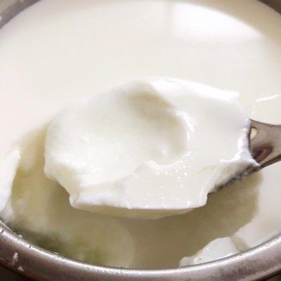 用配方奶粉做酸奶制作方法(懒人最爱的自制奶粉酸奶来啦)(10)