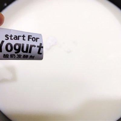 用配方奶粉做酸奶制作方法(懒人最爱的自制奶粉酸奶来啦)(7)