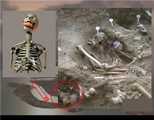 费城实验背后的真相(史上未解之谜费城实验)(11)