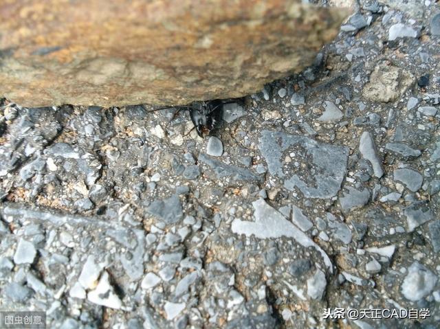 工程地质勘查的基本方法(建筑老师傅教你工程地质勘察报告)(5)