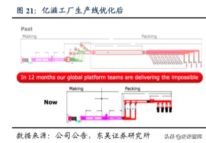休闲食品发展趋势分析(休闲食品行业深度报告)(13)