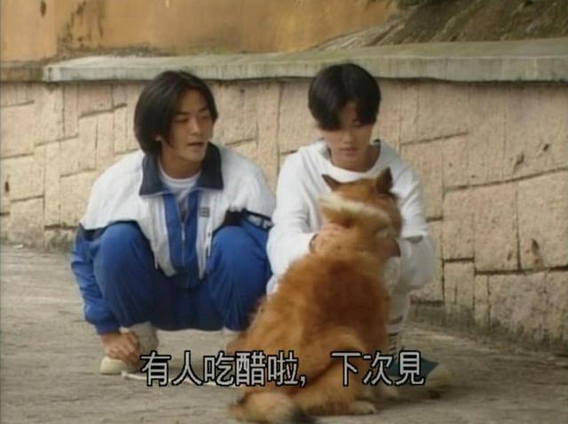 90年代都有哪些港台剧(70年代生人记忆中那些历久弥新的港台连续剧)(77)