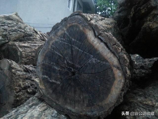 红木家具种类知识大全图(红木分类鉴别及常见红木家具知识)(17)