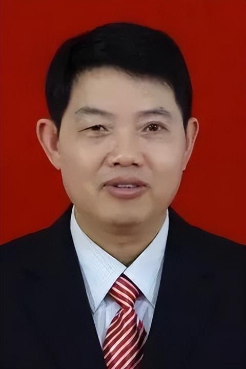 品牌凉茶有哪些(知名饮料品牌上新凉茶)(9)