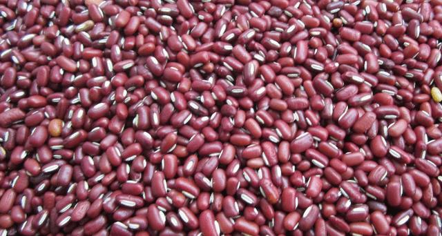 赤小豆与红豆区别哪个好（看完红豆与赤小豆的3个）(2)