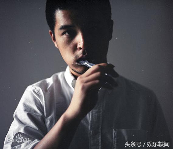 出了几个让人惊艳的歌手(这十位小众歌手)(8)