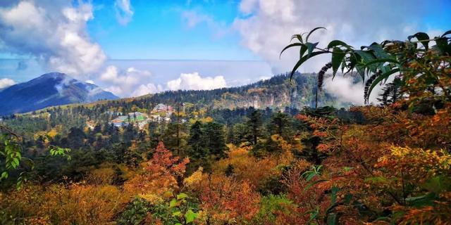 成都到峨眉山二日游路线攻略最新（14趟成都直达列车）(12)