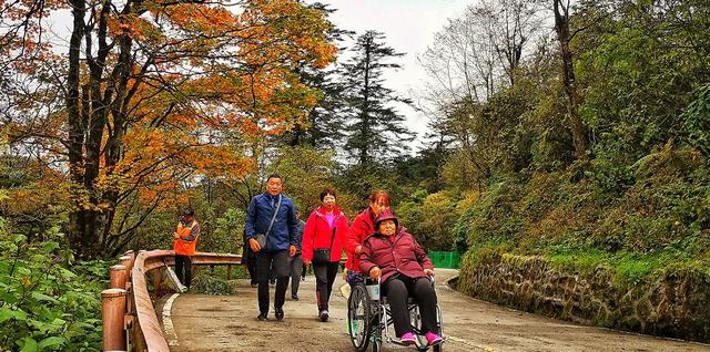 成都到峨眉山二日游路线攻略最新（14趟成都直达列车）(11)