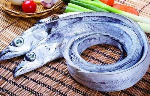 带鱼的鱼皮越白营养价值越高对吗（带鱼皮越白越有营养）(1)