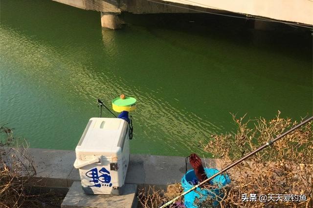 冬天钓鱼基本技巧（冬季钓鱼困难多）(5)