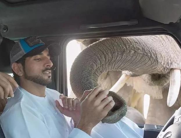 迪拜王妃哈雅婚姻（迪拜大王妃被雪藏41年）(11)