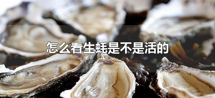 怎么看生蚝是不是活的