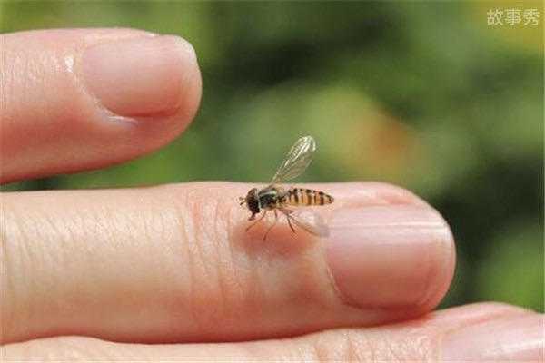 网络图片(侵删)