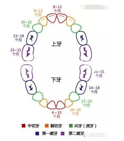 孕育知识及注意事项（非常全的孕育知识）(14)