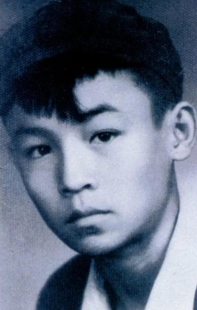 潘虹主演全部电影（早年历经人生坎坷）(3)