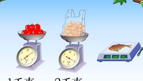 kg是什么单位,kg是公斤单位还是市斤单位图4