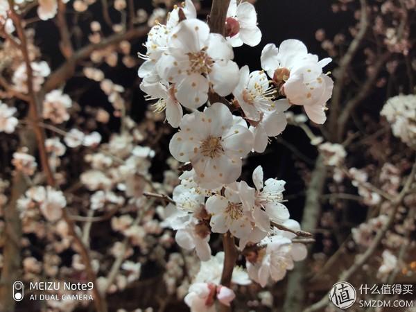 魅族note9的缺点(7个角度告诉你魅族Note9值不值得买)(52)