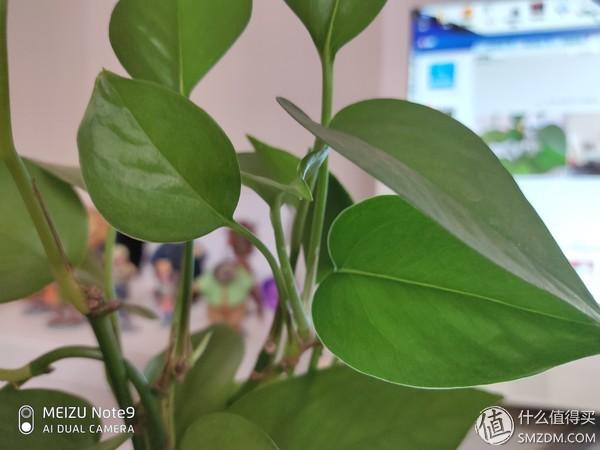 魅族note9的缺点(7个角度告诉你魅族Note9值不值得买)(51)