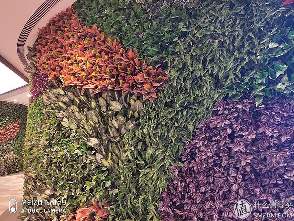 魅族note9的缺点(7个角度告诉你魅族Note9值不值得买)(41)