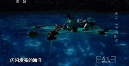 今年日本十部顶级神片(床戏却拍到崩溃)(37)