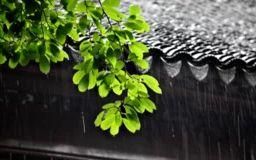 梅雨季节,中国哪些地方会出现梅雨季节?图1