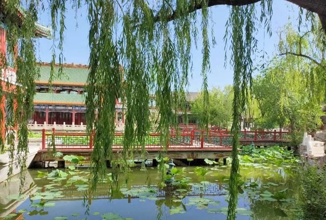 中国一线城市有哪些,北上广深四个一线城市,你最喜欢哪一个?为什么?图5