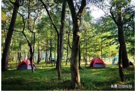 最好的房车露营基地（福建的房车露营地实在太美）(44)