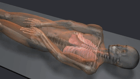 万圣节木乃伊装扮真人（壕出天际的黄金面具）(8)