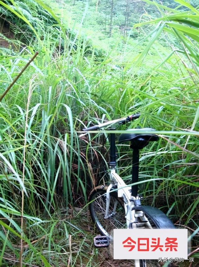 大连海边钓鱼攻略（记录大连钓鱼人勇闯江南原始森林）(24)