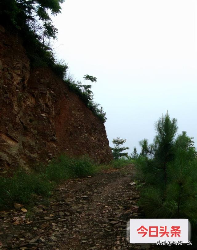 大连海边钓鱼攻略（记录大连钓鱼人勇闯江南原始森林）(11)