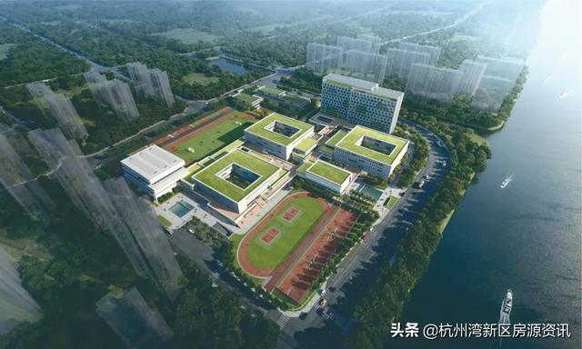 杭州湾新区将上演另一个新区奇迹（当杭州湾新区被世外赋能）(13)