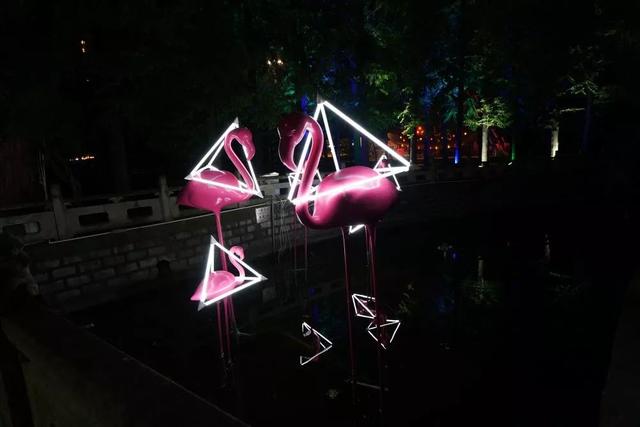 锦江乐园70元门票(锦江乐园49.9元起)(14)