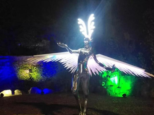 锦江乐园70元门票(锦江乐园49.9元起)(11)