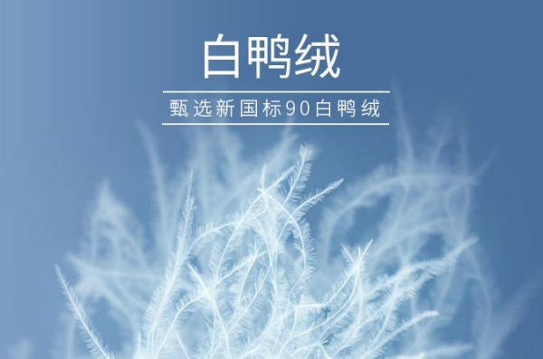 down在羽绒服里是什么意思,down在羽绒服里是什么意思英语图2