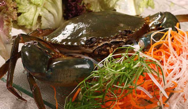 青蟹的做法大全家常,如何蒸青蟹窍门图9