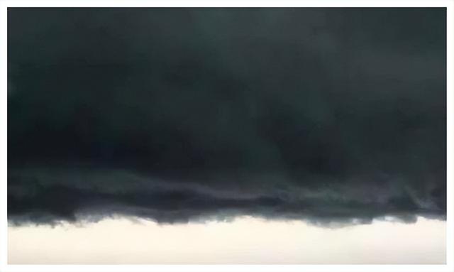 巨蟒勒颈身亡详情经过真相曝光（1995年安徽百人目击）(9)