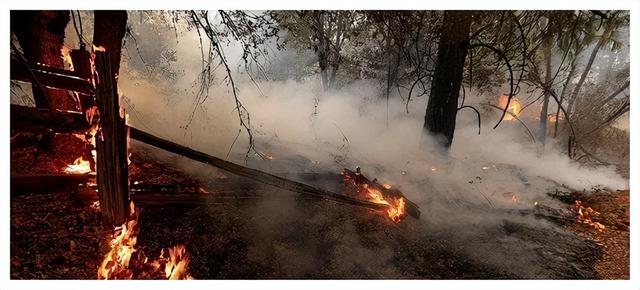 巨蟒勒颈身亡详情经过真相曝光（1995年安徽百人目击）(7)