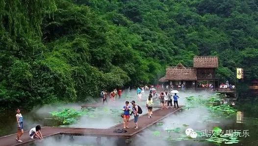 武汉周边最适合度假的地方（武汉周边避暑度假村TOP10重磅推荐）(11)