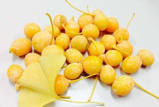 掉落银杏树果实能吃吗,银杏树的果实什么时候成熟?能吃么?图3