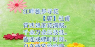 ​江畔独步寻花的意思，江畔独步寻花的独步是什么意思？