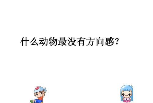 脑筋急转弯:“什么动物没有方向感”