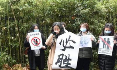 ​弦子朱军案来龙去脉 朱军回应弦子骚扰案都说了什么